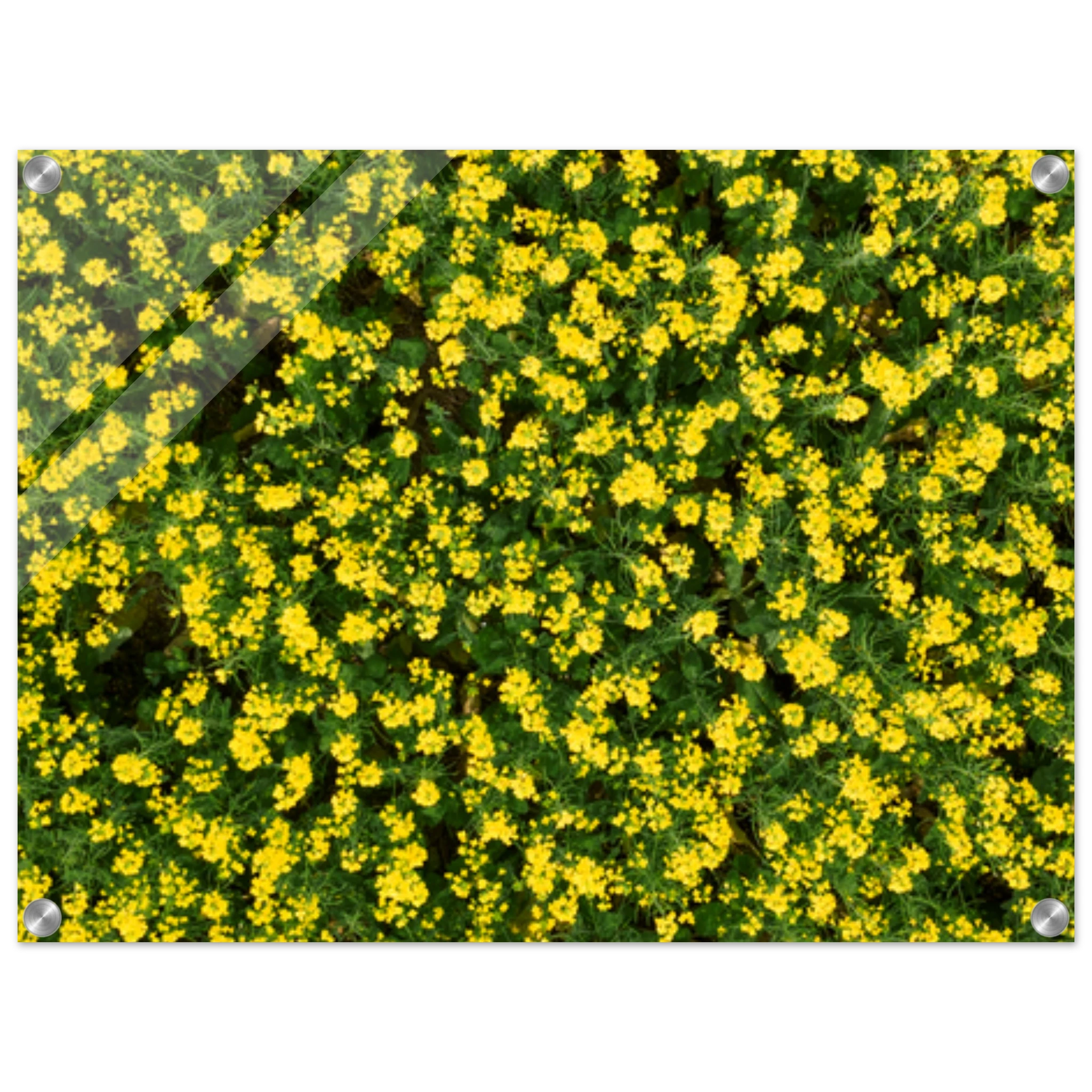 46ad9368-5e40-4e07-a177-fa1c594de2a5