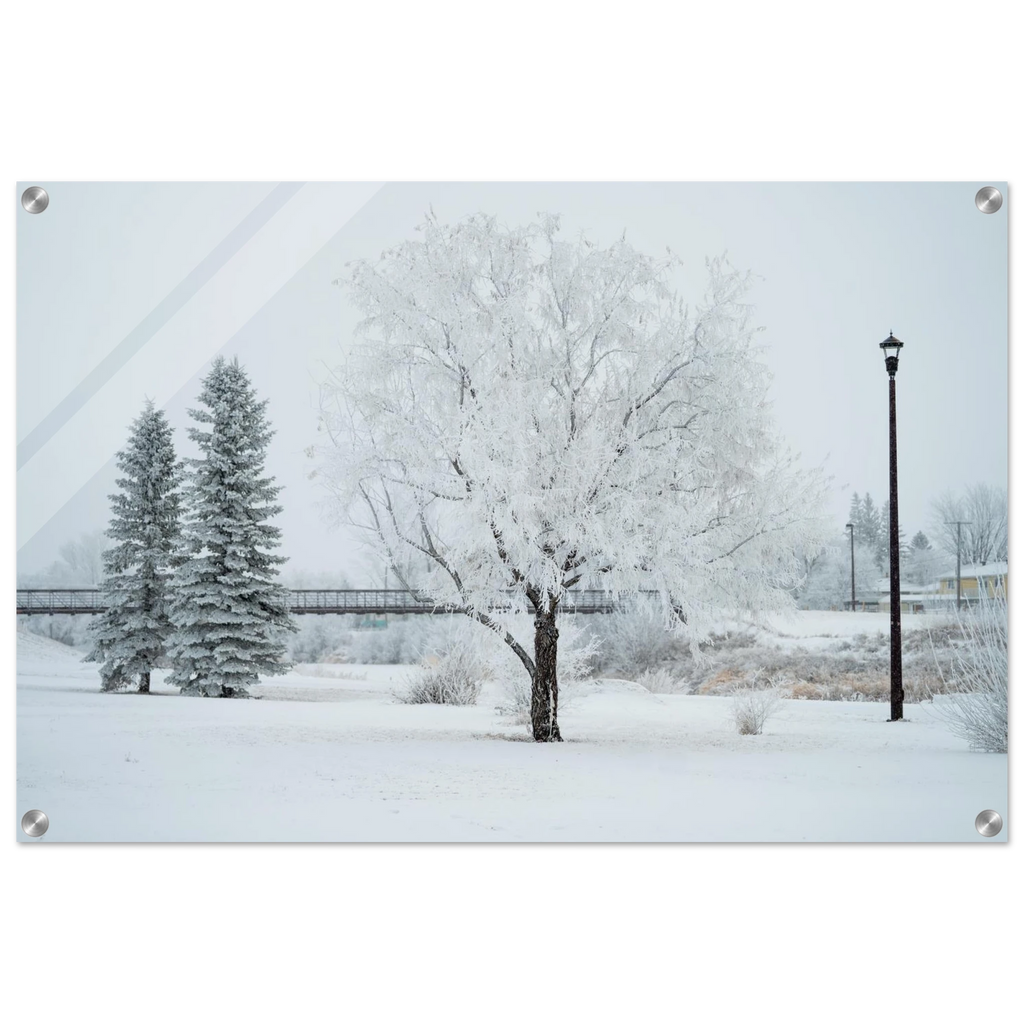 65eecf19-3d36-4649-8c18-f6613aea2cb0