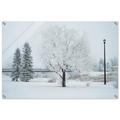 65eecf19-3d36-4649-8c18-f6613aea2cb0