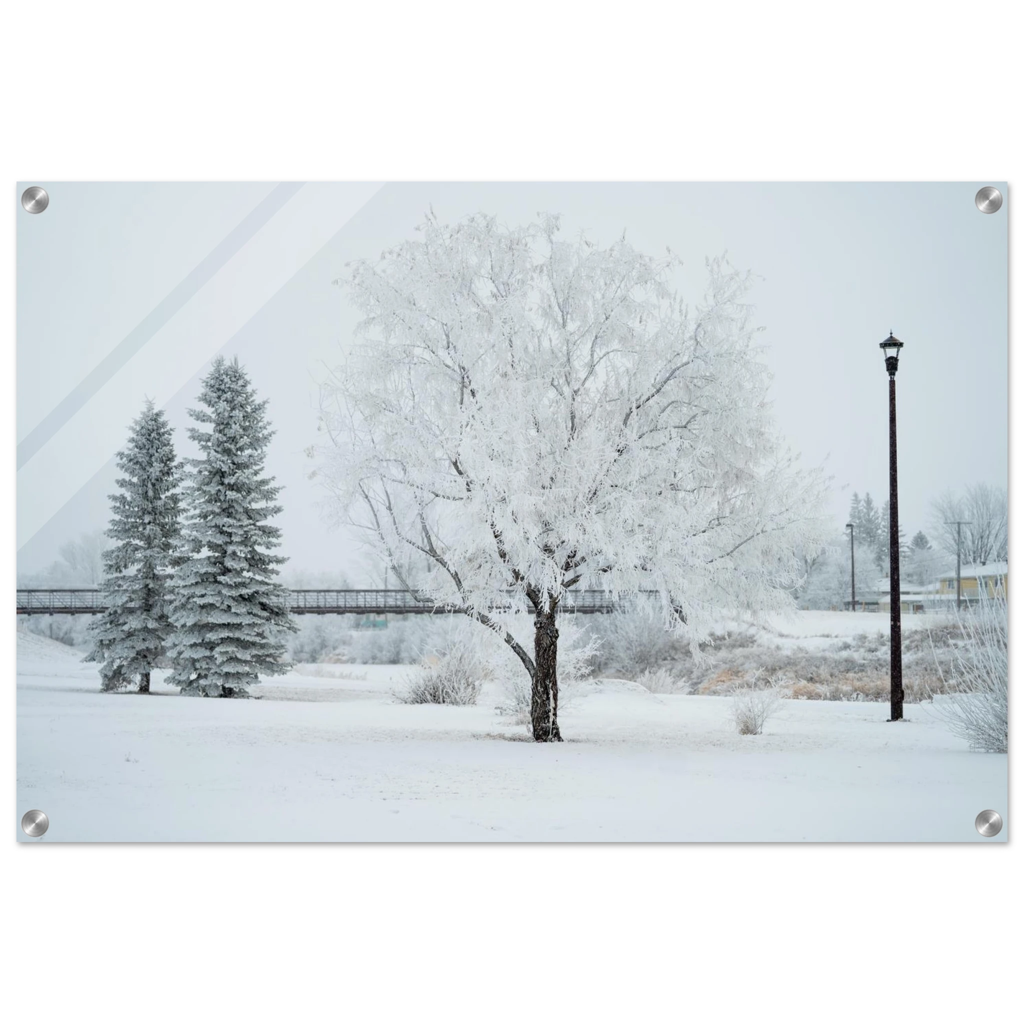 65eecf19-3d36-4649-8c18-f6613aea2cb0