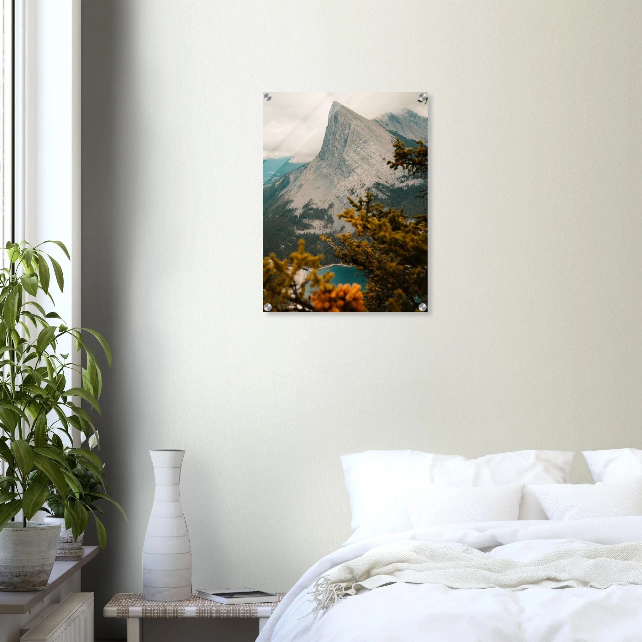6c697dca-c67d-48a9-b519-f53996fc12fc