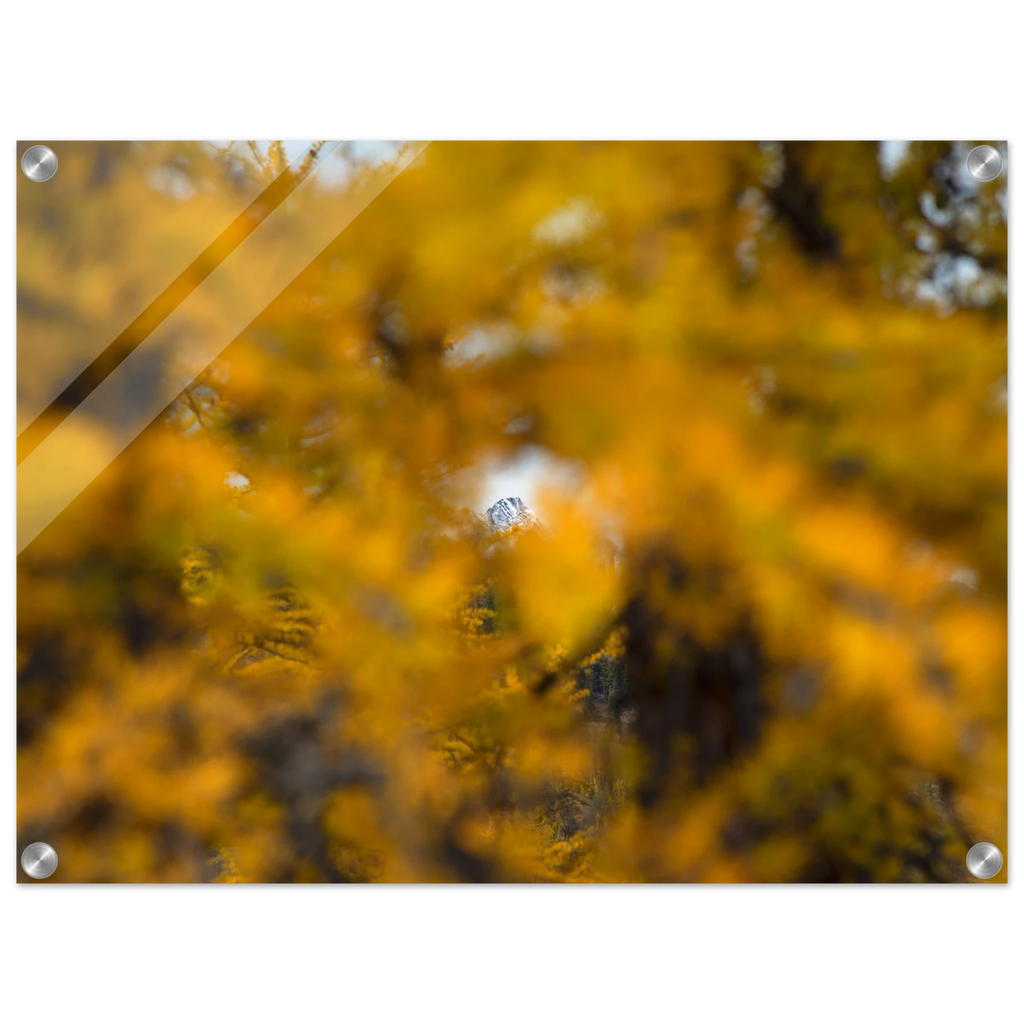 78c9d53e-963d-4266-8aa8-1eac8688f690