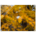 78c9d53e-963d-4266-8aa8-1eac8688f690
