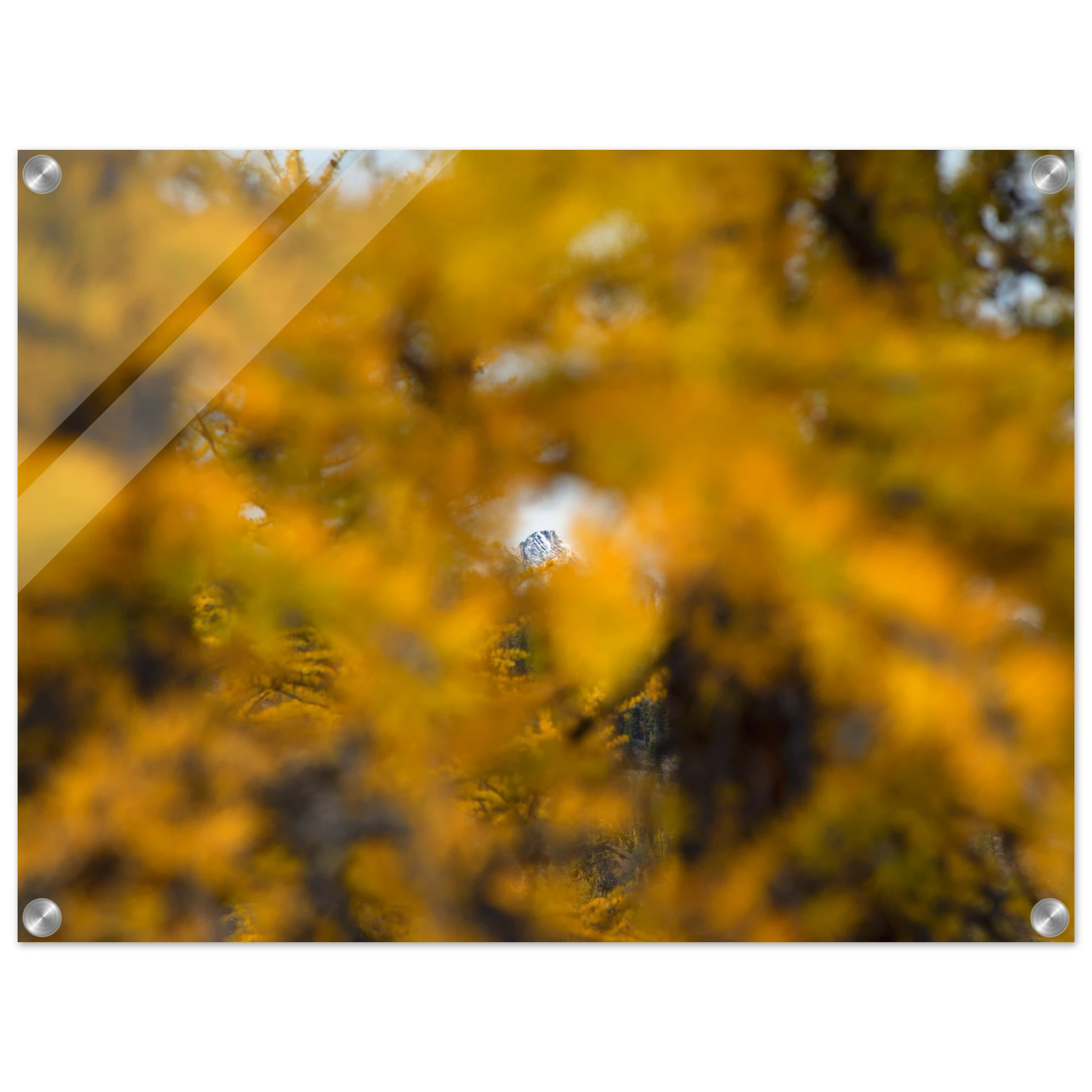 78c9d53e-963d-4266-8aa8-1eac8688f690