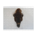 Buffalo HeadJigsaw Puzzle