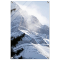 a3ec7313-cf95-45d0-98f5-19c1de2d5ab7