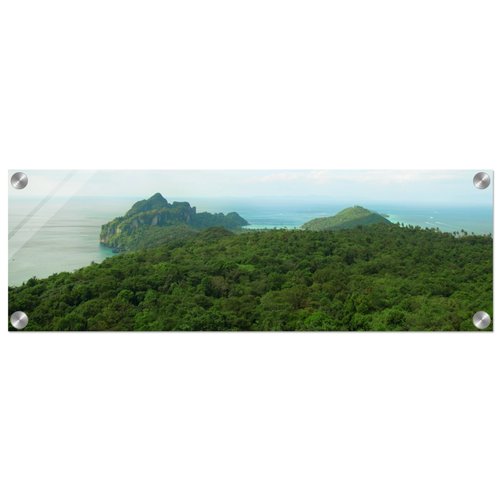 b2b6f8ea-6021-40d7-94e9-b75093113621
