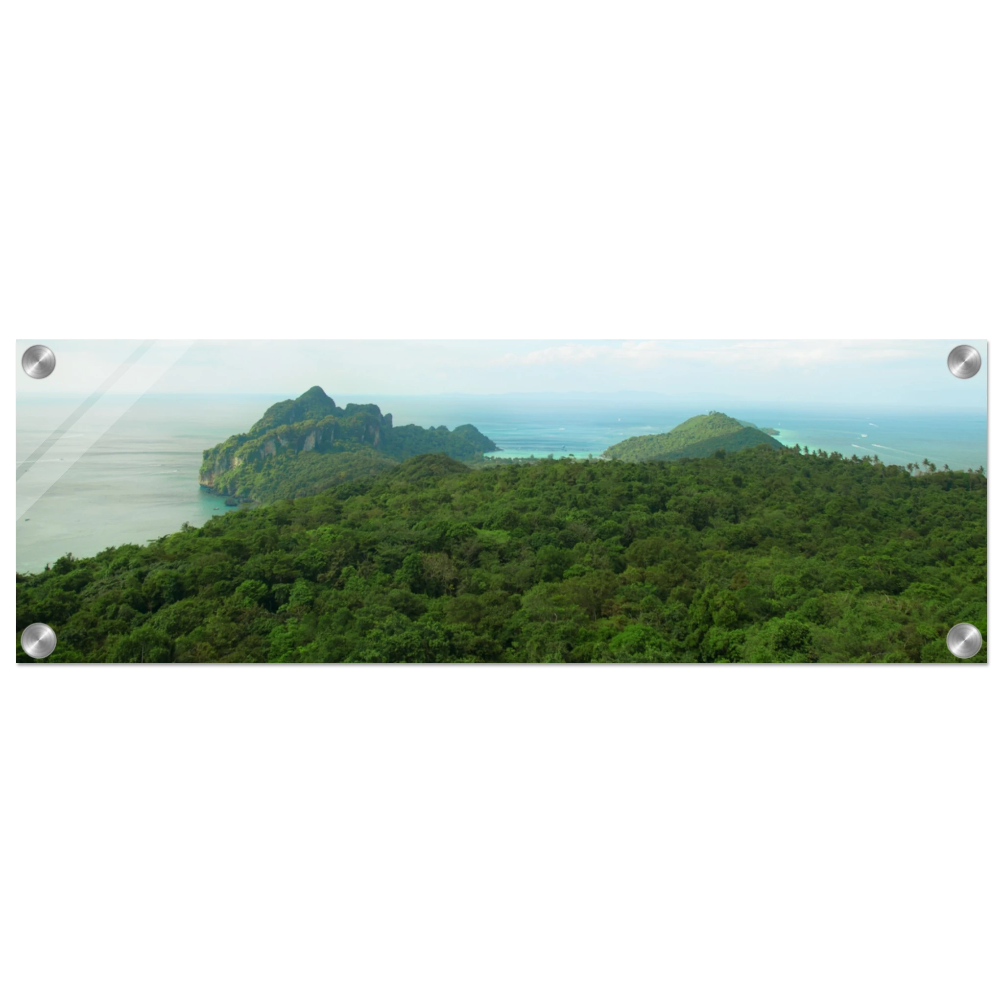 b2b6f8ea-6021-40d7-94e9-b75093113621
