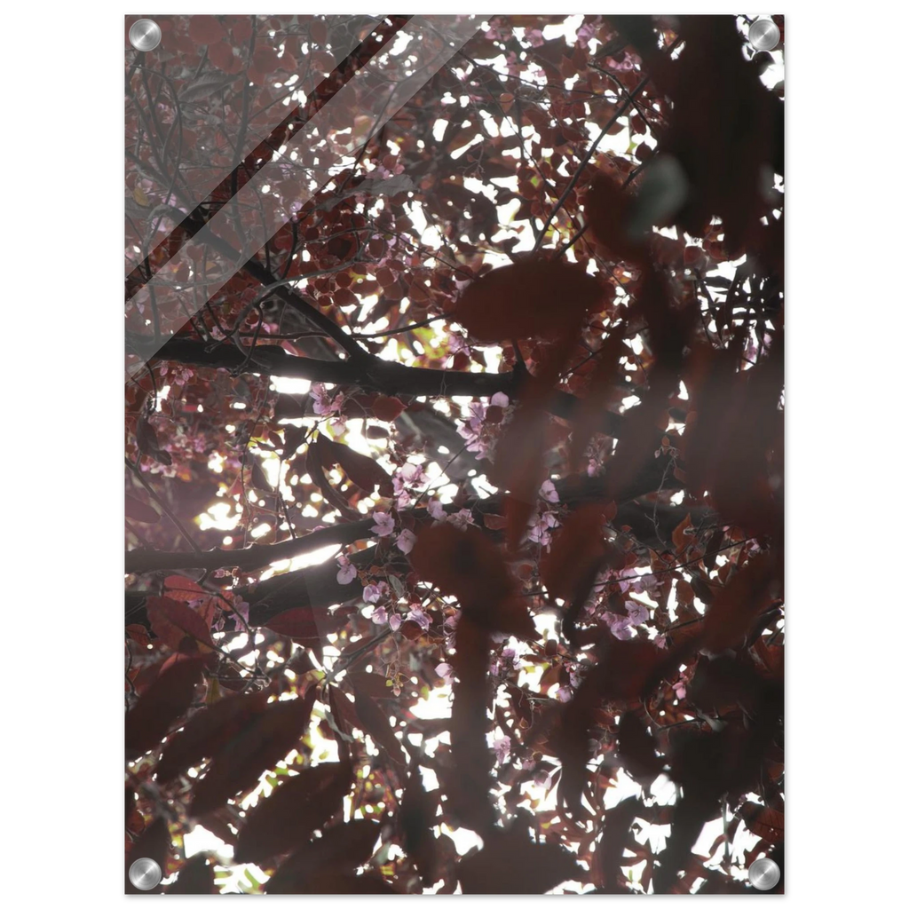 b5494173-10f2-4dc9-aa11-84114fc9a0de