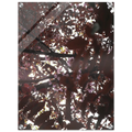 b5494173-10f2-4dc9-aa11-84114fc9a0de