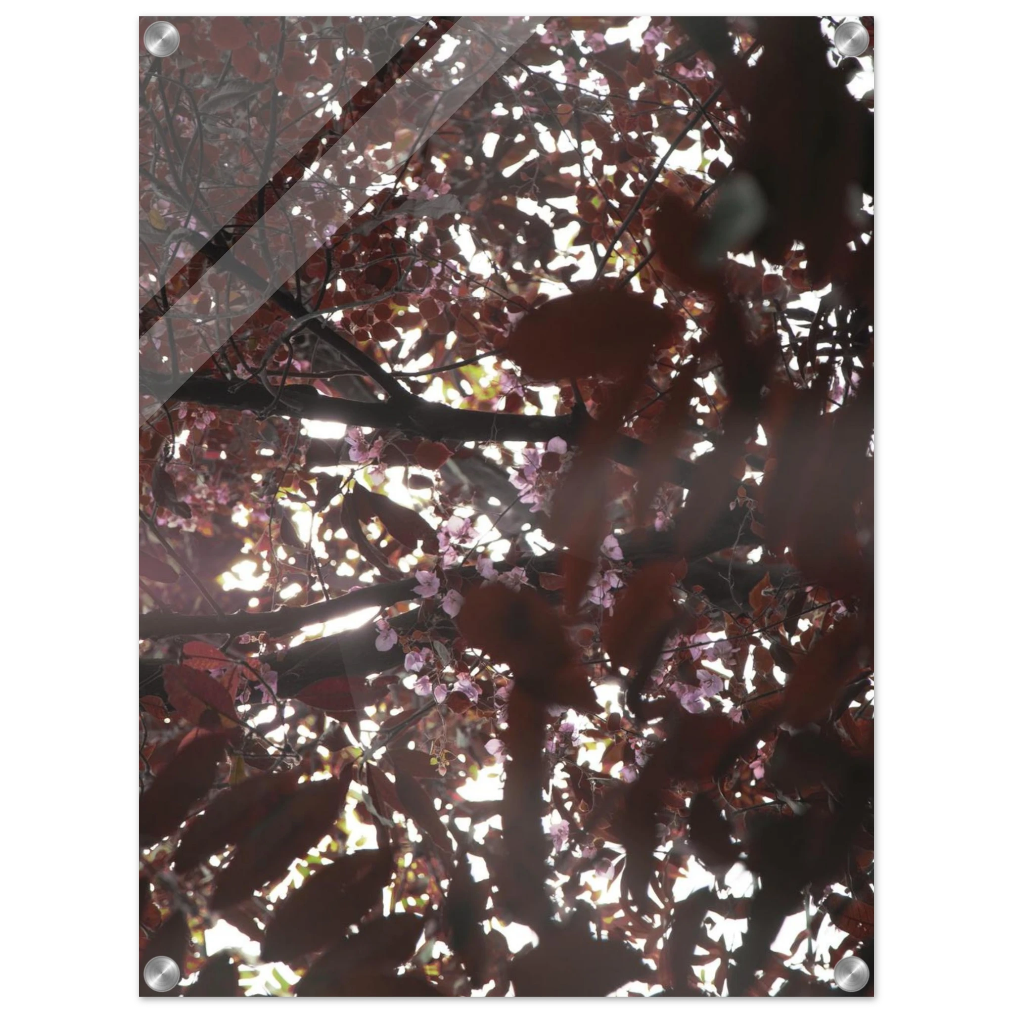 b5494173-10f2-4dc9-aa11-84114fc9a0de