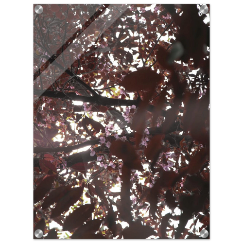 b5494173-10f2-4dc9-aa11-84114fc9a0de