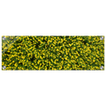b5b17037-4ff8-4942-ab58-9b66edba98c6