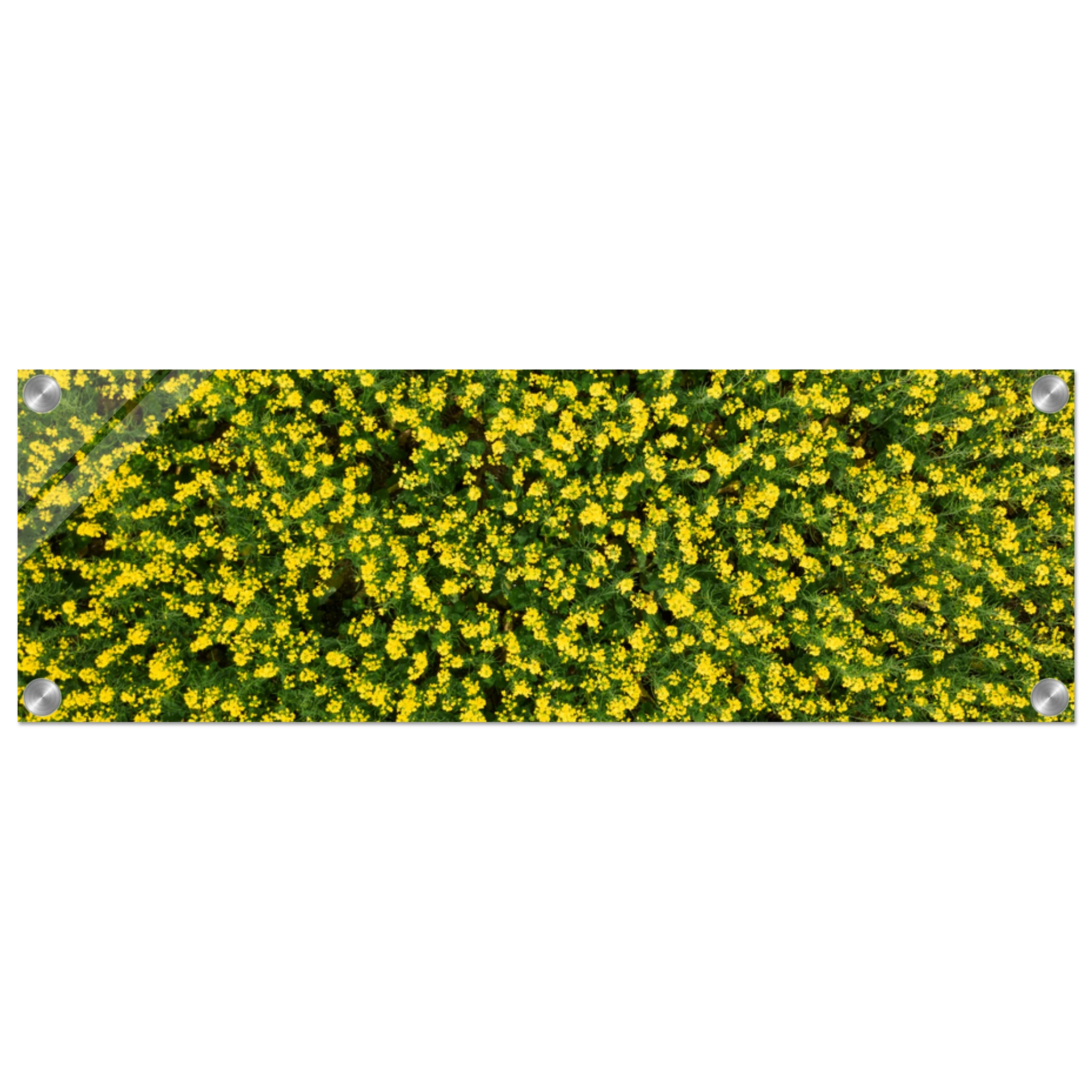 b5b17037-4ff8-4942-ab58-9b66edba98c6